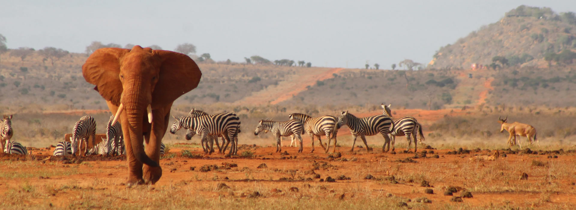 2 Days Tsavo East National Park Safari from Mombasa