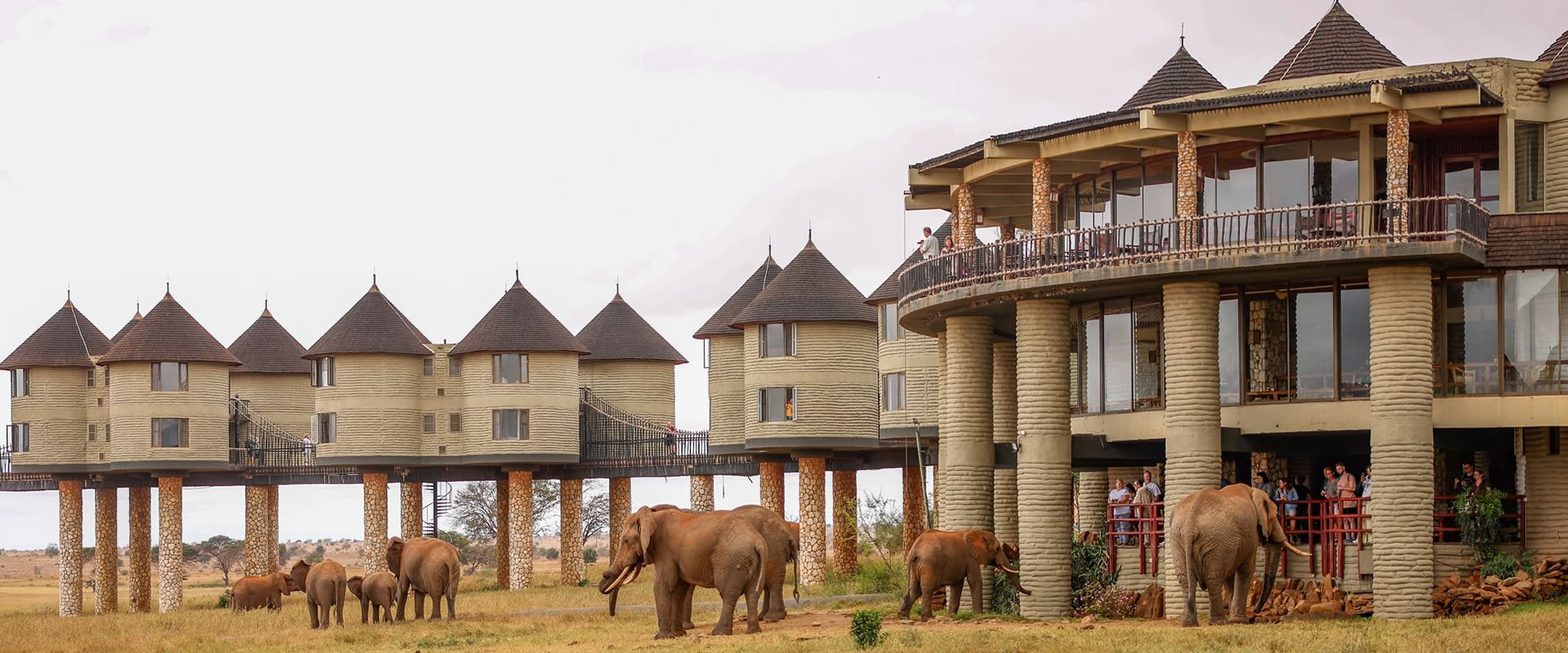 4 Days Tsavo West, Amboseli & Salt Lick Safari from Mombasa