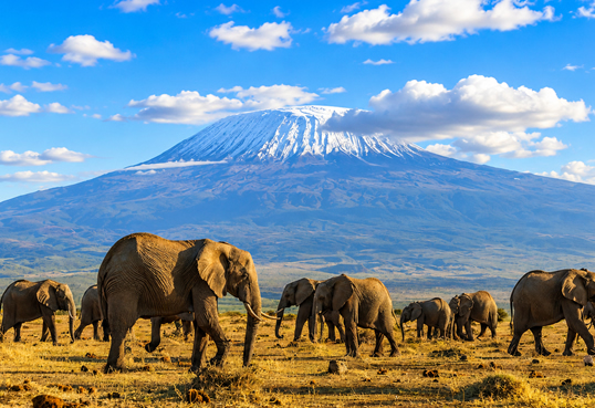 7 Days Amboseli, Lake Naivasha & Masai Mara Safari