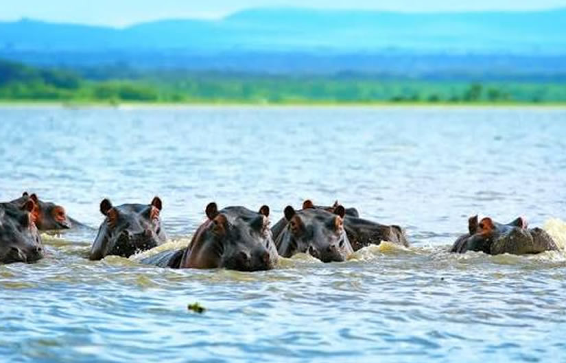 Lake Naivasha – Nairobi