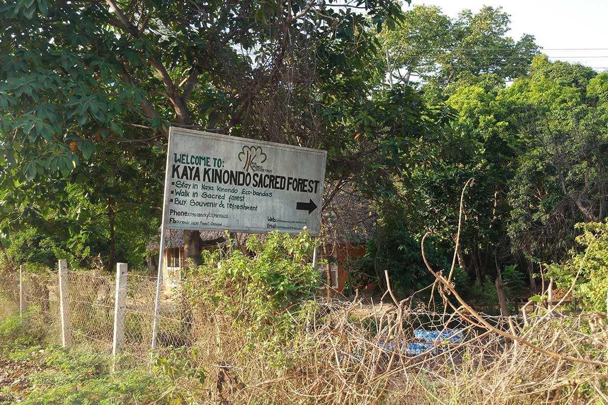 Kaya Kinondo Sacred Forest