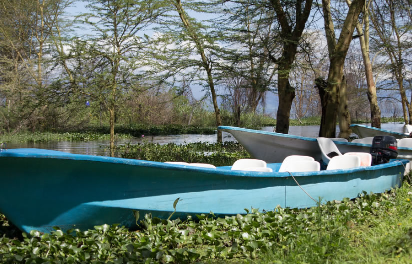 Boat ride on Lake Naivasha