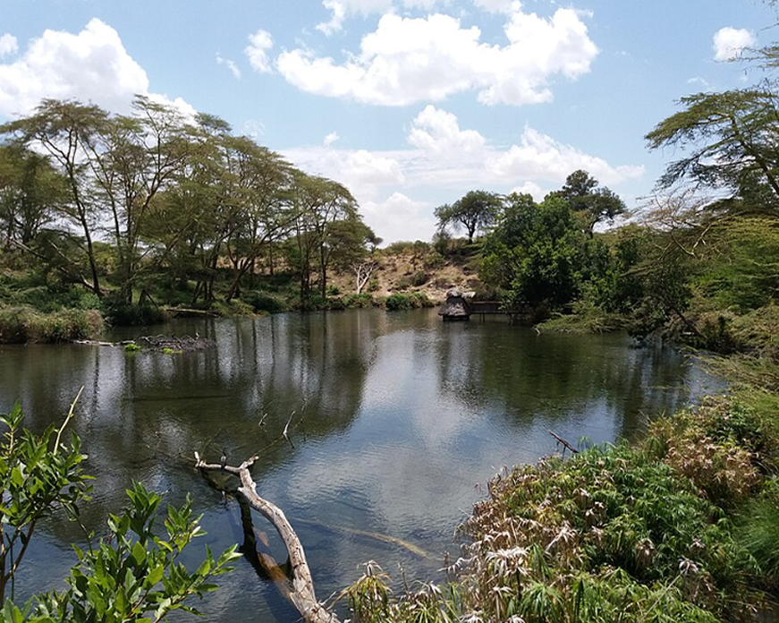 4 Days Tsavo West, Amboseli & Salt Lick Safari from Mombasa