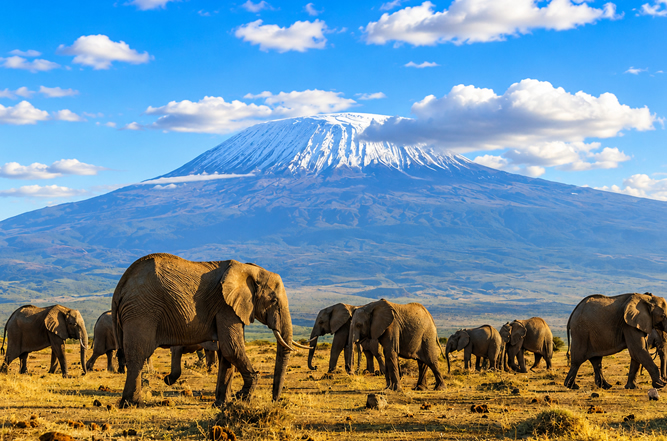 Tsavo West – Amboseli National Park