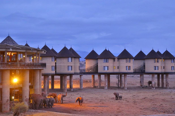 Amboseli – Taita Hills Wildlife Sanctuary – Salt Lick Safari Lodge