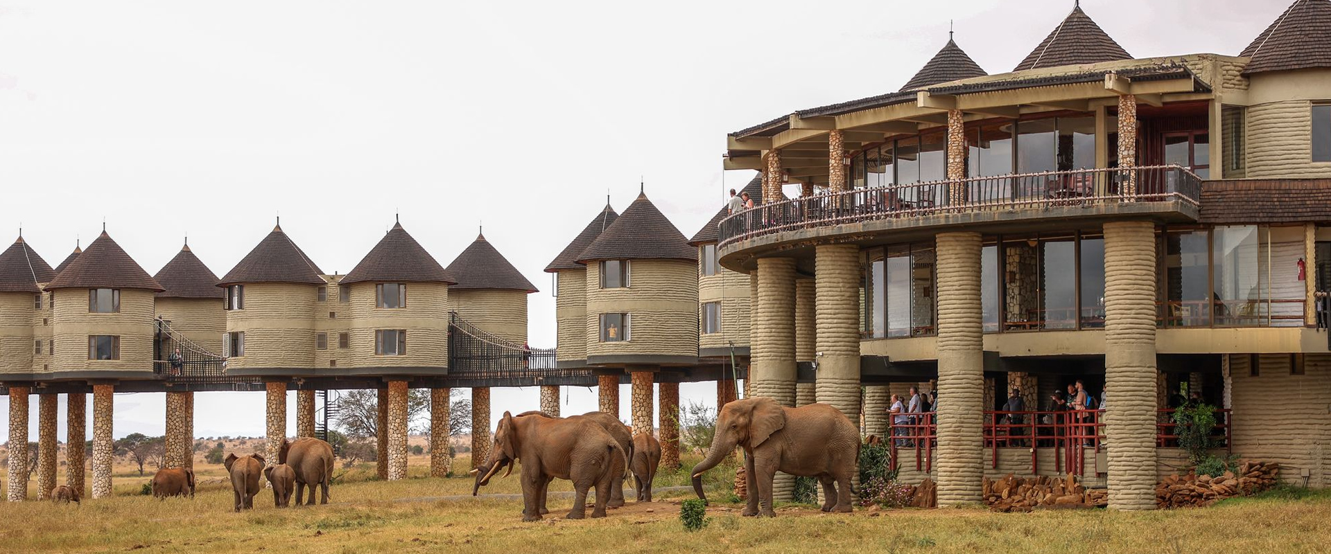 Salt Lick Safari Lodge in Taita Hills