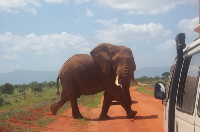 Safari lodge in Tsavo East National Park